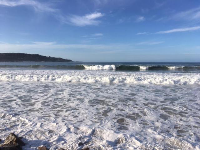 Appartement Les Hirondelles 2Km Plage-Wifi-Jardin-Parking-Draps Et Serviettes Hendaye Exteriör bild