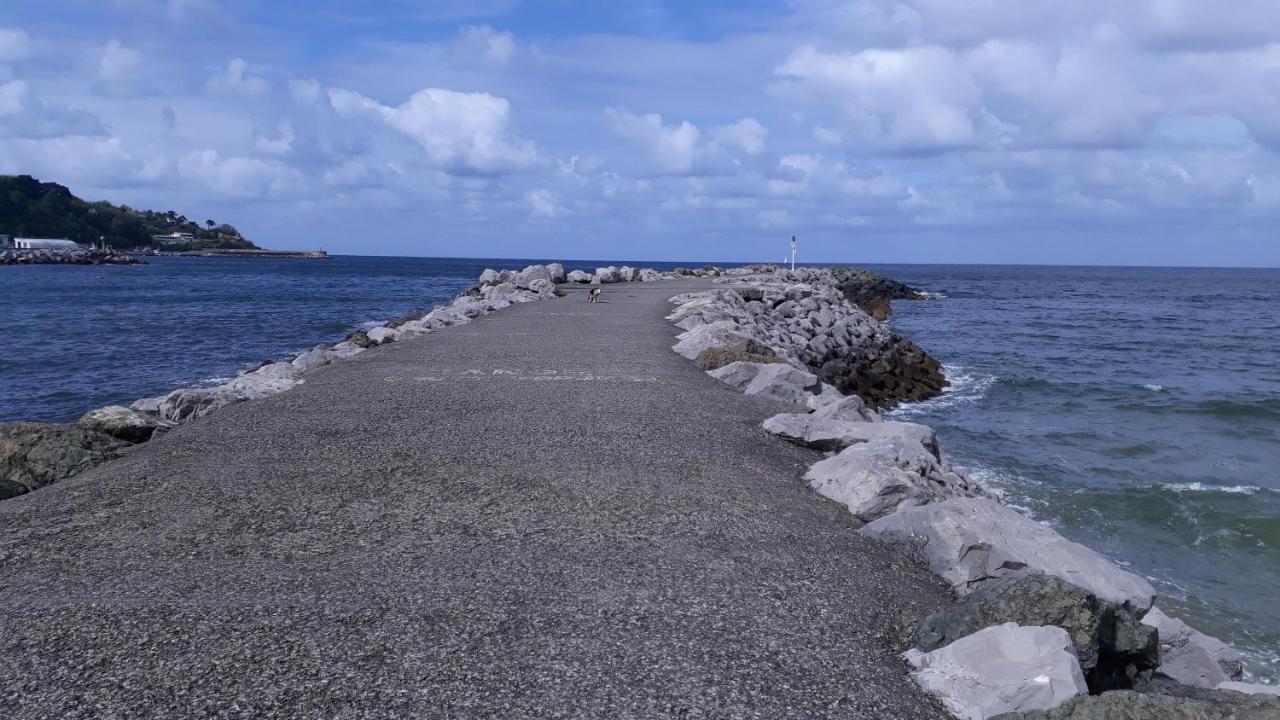 Appartement Les Hirondelles 2Km Plage-Wifi-Jardin-Parking-Draps Et Serviettes Hendaye Exteriör bild